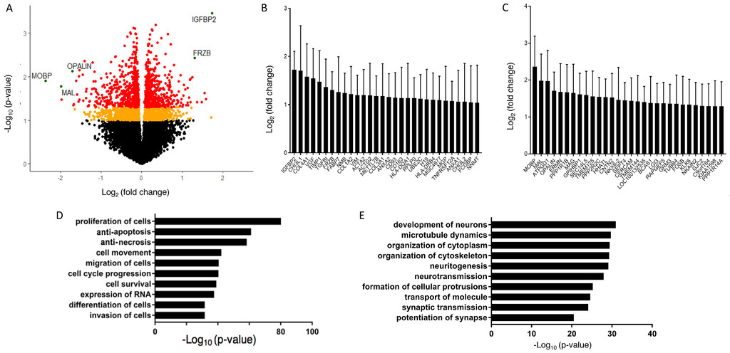 Example figure from bioinformatics analysis of fluorescent and non-fluorescent glioblastoma tumors.